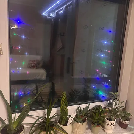 Lejlighed Guest House Kula Kula